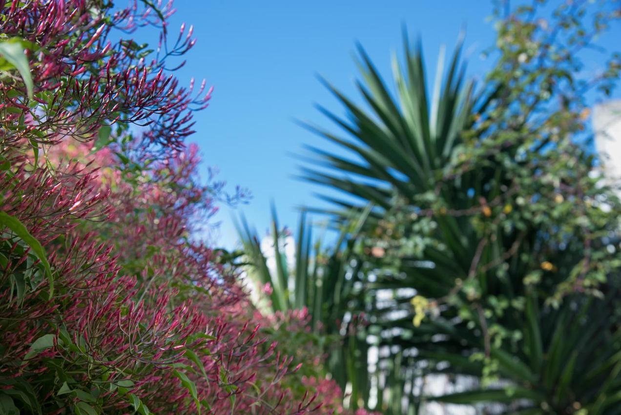 Flat With A Garden In Belem Apartamento Lisboa Exterior foto